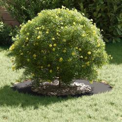 Anneau de Pot en M&eacute;tal Noir 70 cm de diam&egrave;tre