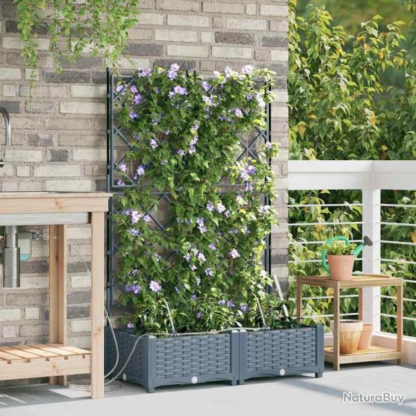 Jardini�res de jardin 1 pc Treillis Gris clair 80 x 40 x 126 cm
