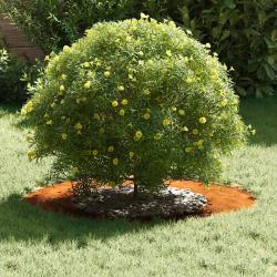 Planteur en acier corten Acier corten 70 cm de diam&egrave;tre Durable