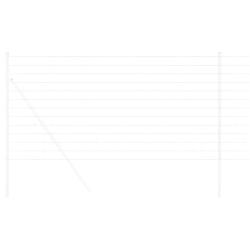 Cl&ocirc;ture Euro 1,6 x 10 m Fer rev&ecirc;tu de PVC