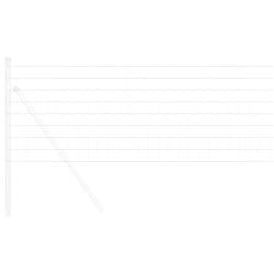 Cl&ocirc;ture Euro 0,4 x 10 m Fer rev&ecirc;tu de PVC