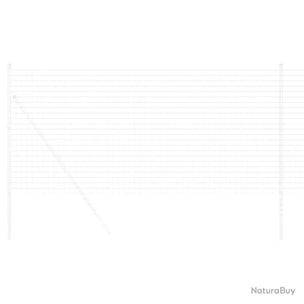 Cl�ture Euro 1,2x10 m Acier Galvanis�