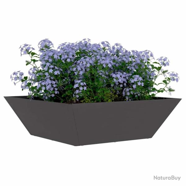 Bol de jardin noir 50x50x15 cm en acier