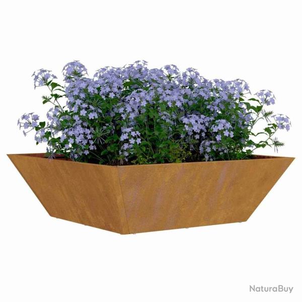 Jardini�re Bowl 50x50x15 cm en acier corten