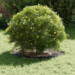 Pot en m&eacute;tal Noir M&eacute;tal 60 x 60 x 1.3 cm