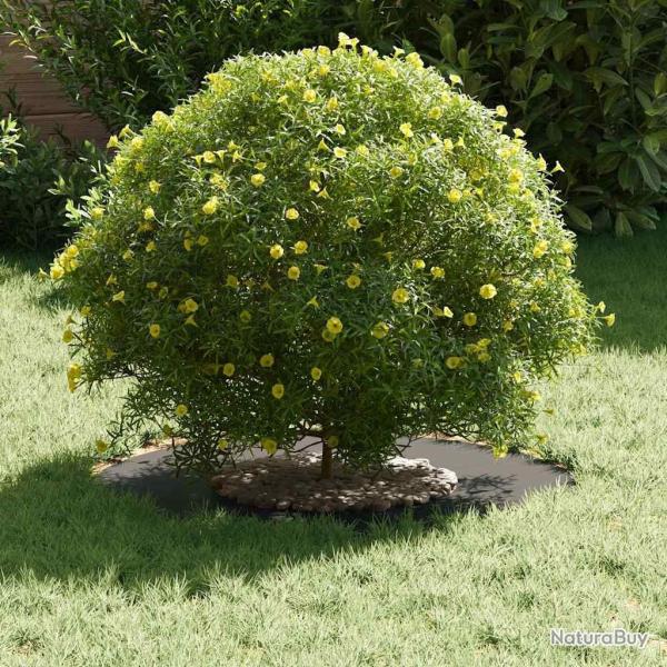 Pot en m�tal Noir M�tal 60 x 60 x 1.3 cm