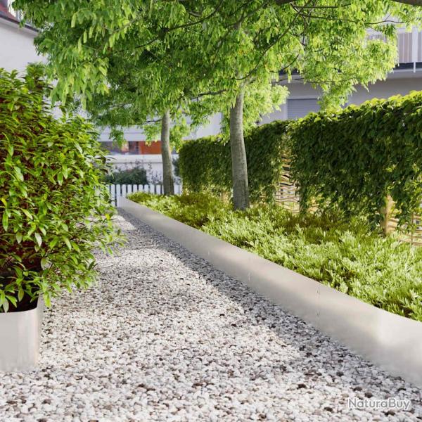 Bordures de pelouse 20 pcs 25x103 cm acier inoxydable