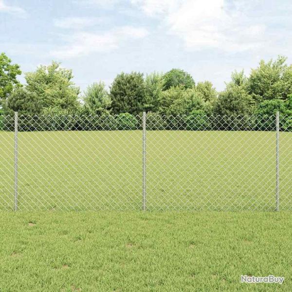 Cl�ture en Treillis avec 22 Piquets Argent 0,8x25 m Acier
