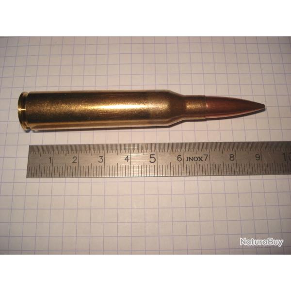 une cartouche de 338 lapua magnum de marque PPU, ogive blind�e, pour collection
