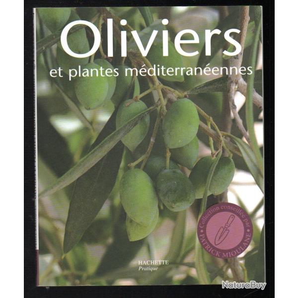 un jardin fleuri toute l'anne , oliviers et plantes mditerranennes, plantes du midi chez vous 3 l