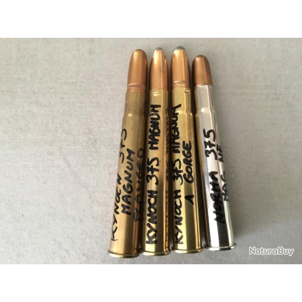 Beau lot de munitions 375 Magnum