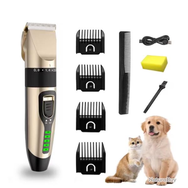 Tondeuse chien chat sans fil rechargeable silencieuse lame titane cramique Or
