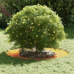 Bac &agrave; fleurs en acier corten Acier corten Moyen