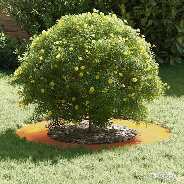 Bac � fleurs en acier corten Acier corten Moyen