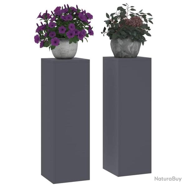 Supports de Plantes Ext�rieurs Pillar 2 pcs Anthracite 24x24x75 cm Acier