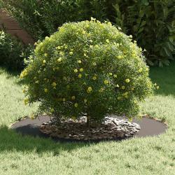 Pot de Fleurs en Plastique Noir Plastique Grand Rond Moderne