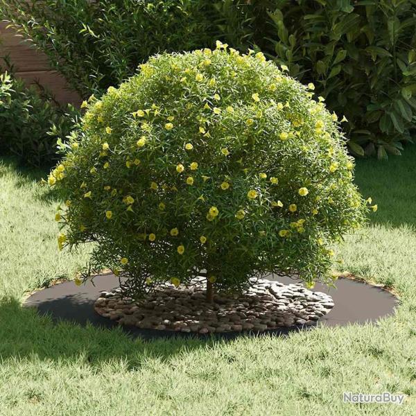 Pot de Fleurs en Plastique Noir Plastique Grand Rond Moderne