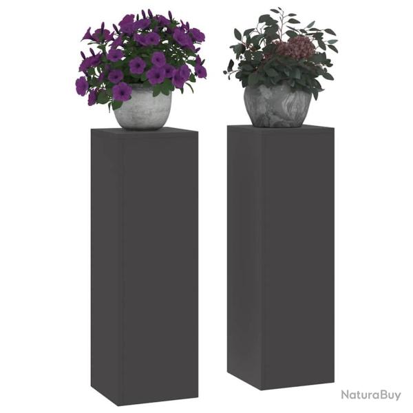 Supports de Plantes d'Ext�rieur Pilier 2 pcs Noir 24x24x75 cm Acier