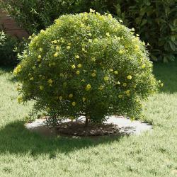 Pot de fleurs en c&eacute;ramique Blanc C&eacute;ramique Grand Rond Moderne