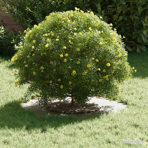 Pot de fleurs en c�ramique Blanc C�ramique Grand Rond Moderne