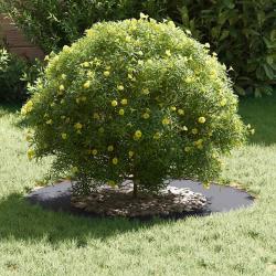 Pot en plastique Anthracite Plastique durable Moyen