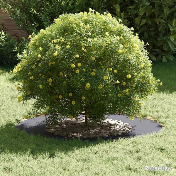 Pot en plastique Anthracite Plastique durable Moyen