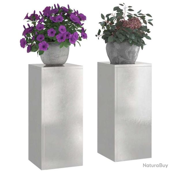 Supports de Plantes d'Ext�rieur Pilier 2 pcs 24x24x55 cm Acier Inoxydable