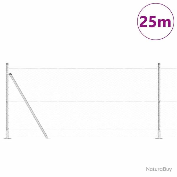 Ensemble de Cl�ture 2 Panneaux Acier galvanis� Maille de 25 x 1 m