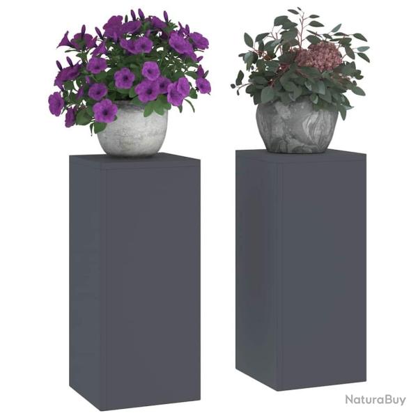 Supports de Plantes Ext�rieurs Pilier 2 pcs Anthracite 24x24x55 cm Acier