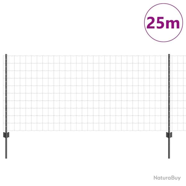 Cl�ture Euro avec 22 poteaux gris 1x25 m en acier