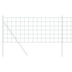 Cl&ocirc;ture Euro Vert 0,4 x 10 m Fer rev&ecirc;tu de PVC