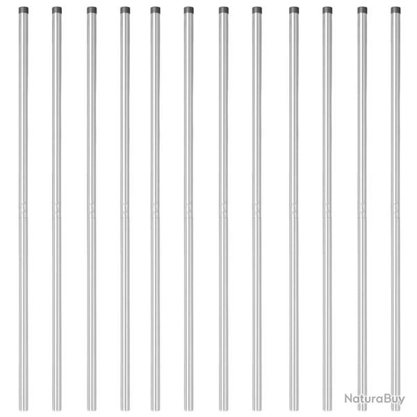 Poteaux de cl�ture 12 pcs Argent 160 cm Acier galvanis�