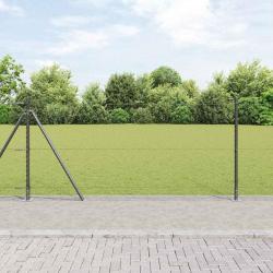 Set de cl&ocirc;tures 2 pi&egrave;ces Gris Acier rev&ecirc;tu de poudre 25 x 1 m