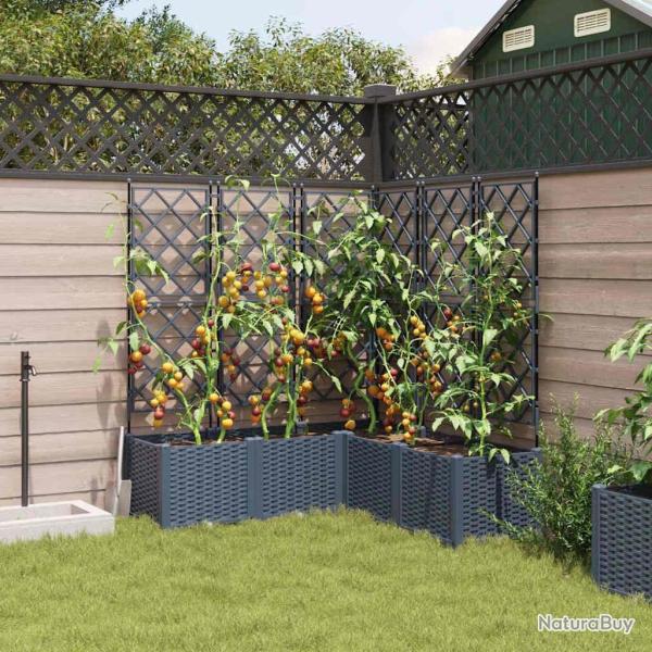 Jardini�re avec Treillis 5 pcs Gris 120x120x143 cm