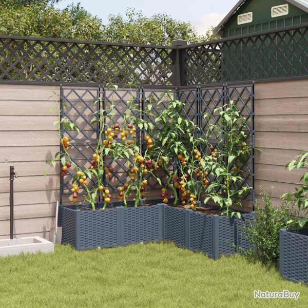 Jardinier avec Treillis 5 pcs Gris Clair 120x120x143 cm