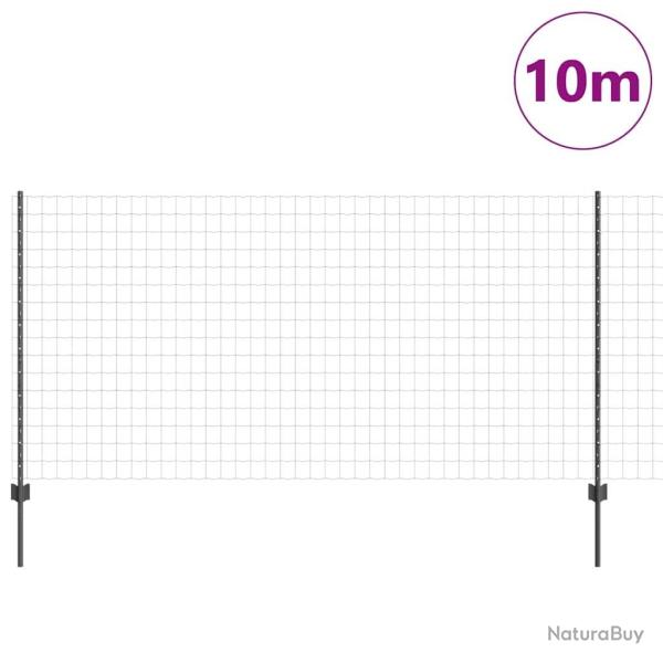 Cl�ture Euro avec 10 poteaux gris 1,2x10 m en acier