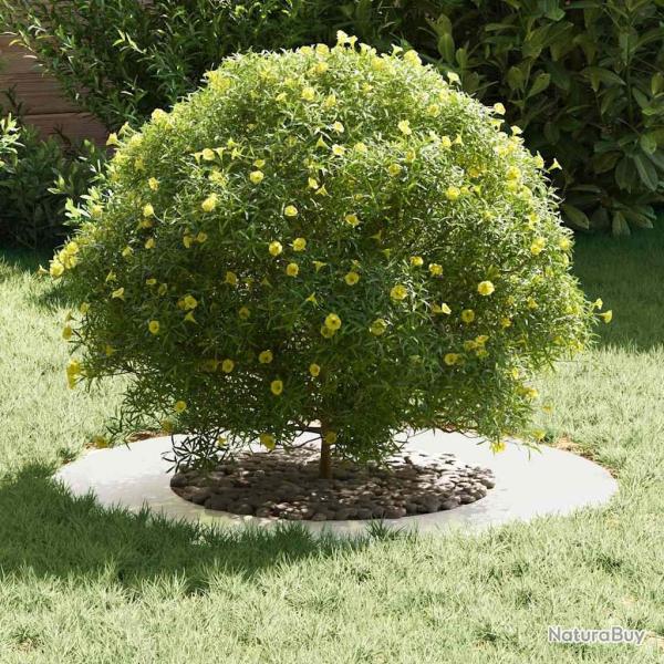 Fleurisseur en acier inoxydable Acier inoxydable Grand Durable