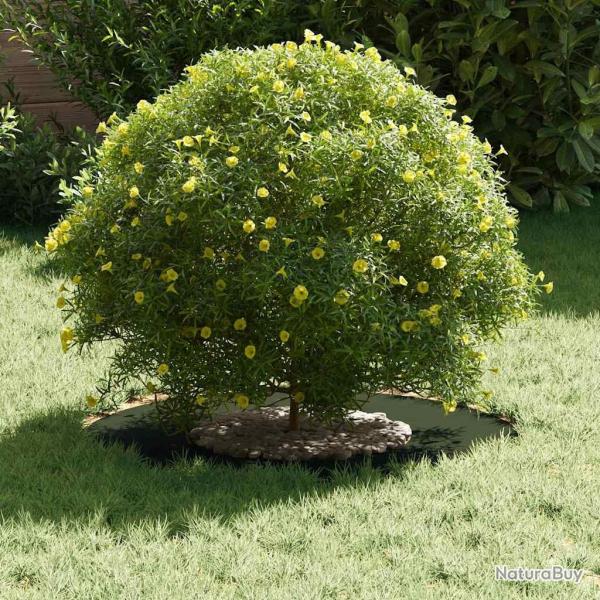 Pot de fleur vert olive Vert olive Plastique Moyen