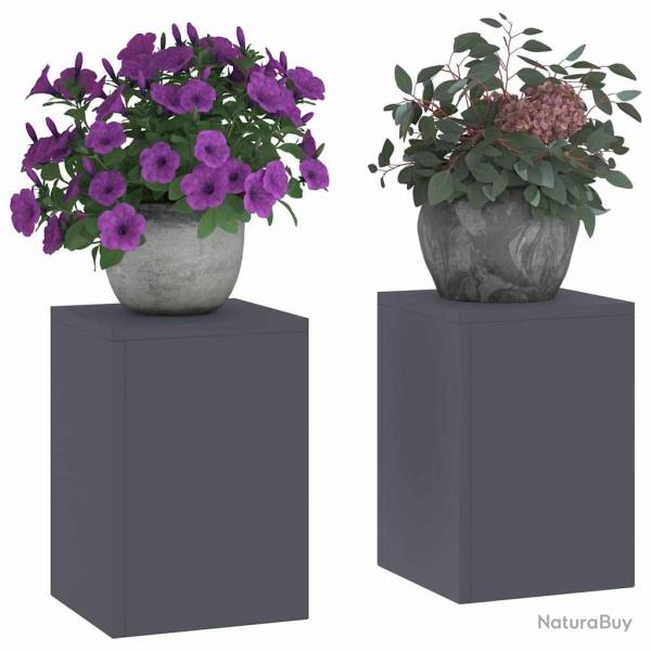Supports de Plantes d'Ext�rieur Pillar 2 pcs Anthracite 24x24x35 cm Acier