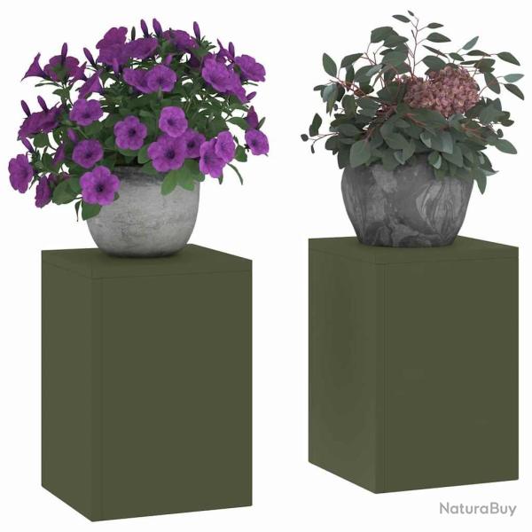 Supports de Plantes d'ext�rieur Pilier 2 pcs Olive Verte 24x24x35 cm Acier