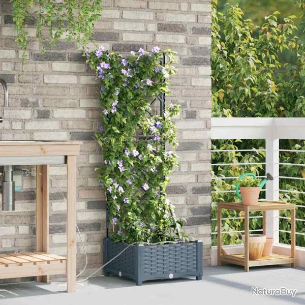 Jardini�res de jardin 1 pc Treillis Gris clair 40 x 40 x 126 cm