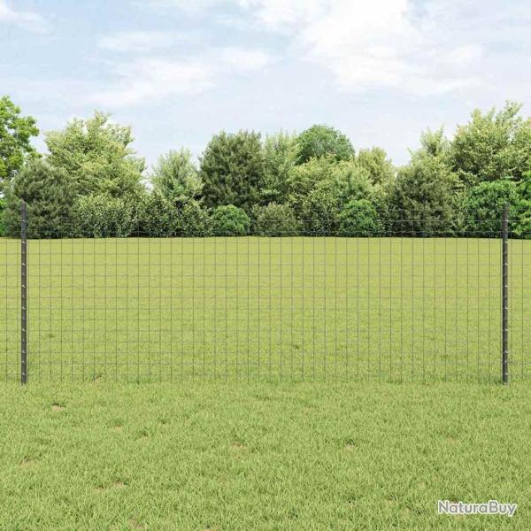 Cl�ture Euro avec 5 poteaux gris 0,8x10 m en acier