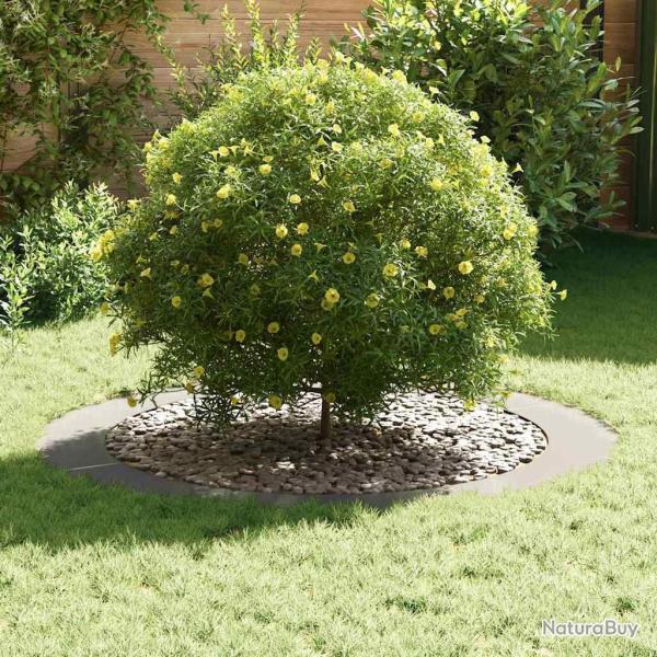 Pot en inox Inox Grand Incrustations d�coratives Pot de fleur