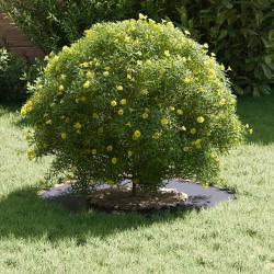 Pot en r&eacute;sine Anthracite R&eacute;sine Moyen Jardini&egrave;res