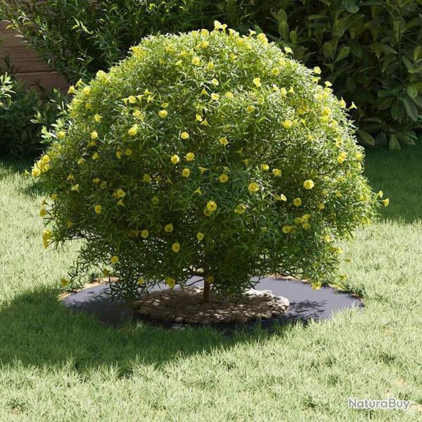 Pot en r�sine Anthracite R�sine Moyen Jardini�res