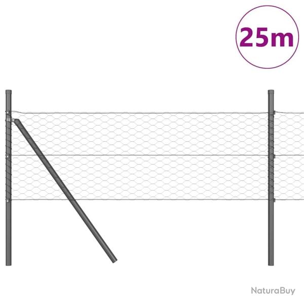 Cl�ture Hexagonale Gris 0,4x25 m Acier