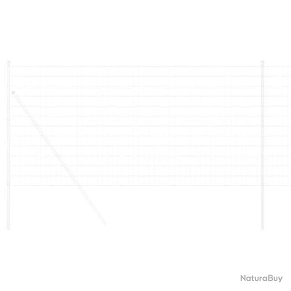 Euro Fence 1x10 m Acier Galvanis�