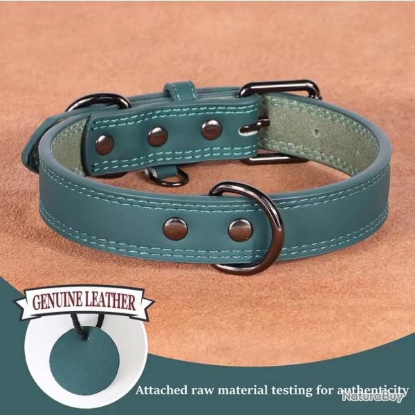 Collier pour Chien en Cuir Vritable Souple, Durable Confortable 43-53 cm Vert
