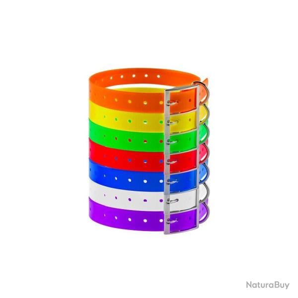 Collier pour Chien Country - Polyurthane 2,5 cm - Rsistant et Confortable - Scurit et Durabilit