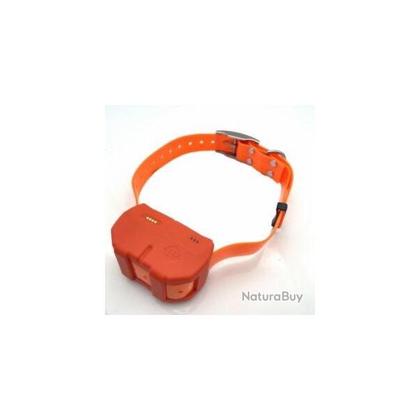 Collier DOGZE 4G - Balise GPS de rep�rage et dressage 4G